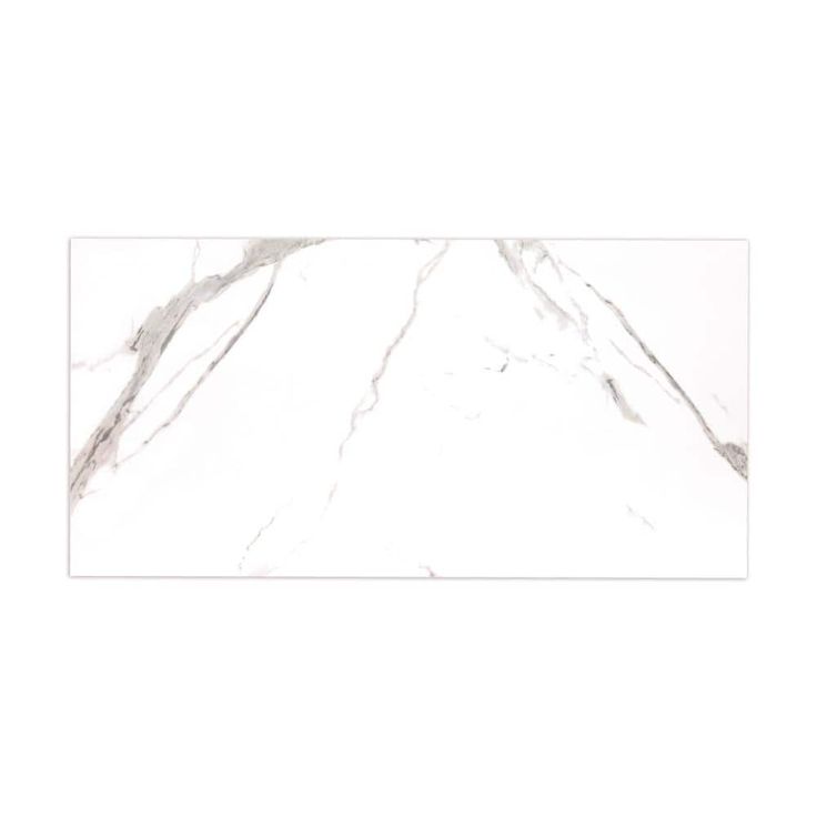 Ader Tegal 24 in. x 48 in. Polished Porcelain Floor and Wall Tile (16 sq. ft./Case)
