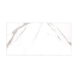 Ader Tegal 24 in. x 48 in. Polished Porcelain Floor and Wall Tile (16 sq. ft./Case)