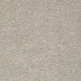 STAINMASTER PetProtect Baxter II Harley Textured Carpet (Indoor)