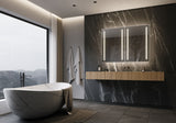 PARIS MIRROR Stella Cabinet 48-in x 36-in Lighted LED Surface Mount 3000K Mirrored Soft Close Medicine Cabinet