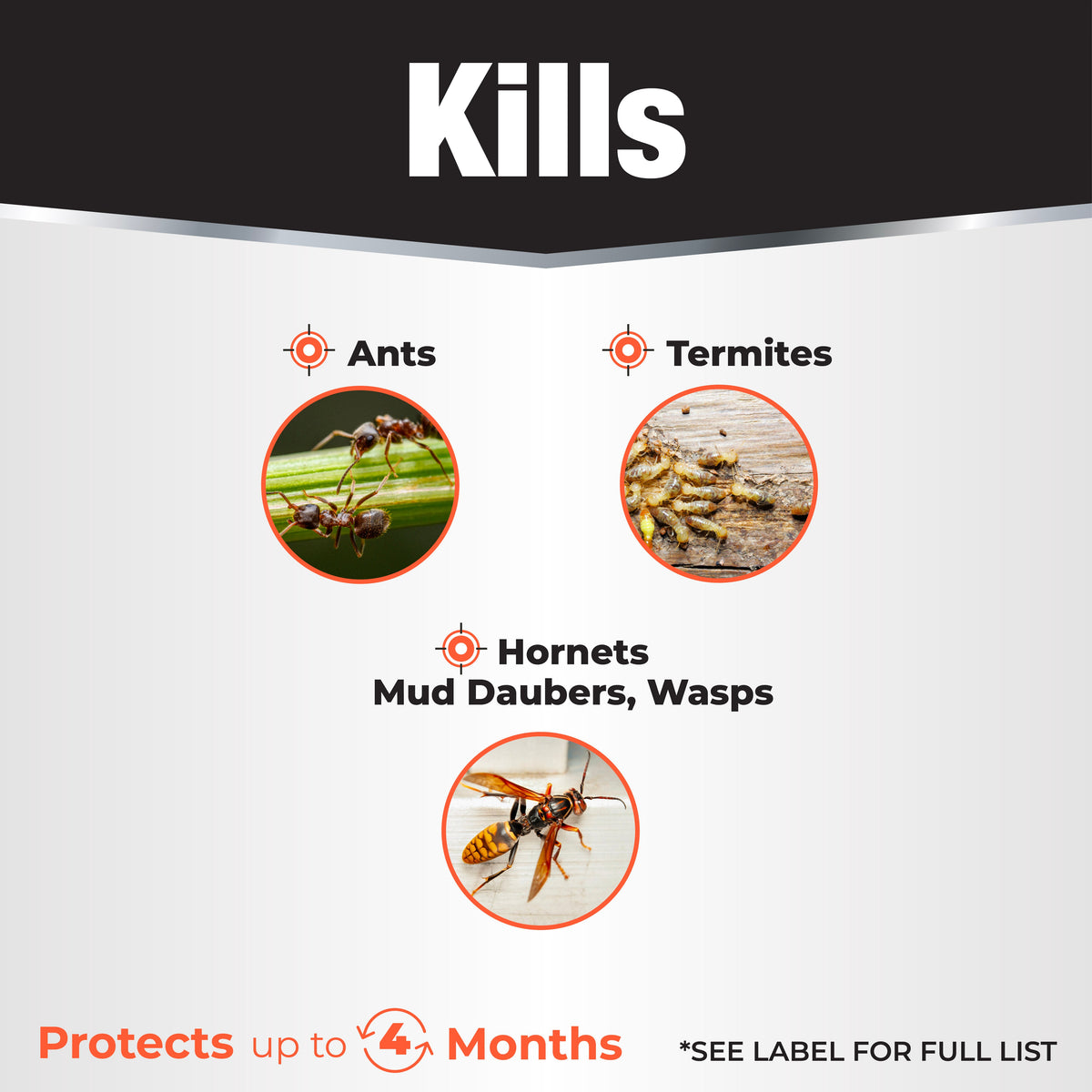 Bonide Revenge Termite & Carpenter Ant Ready-to-Use Liquid Insect Killer, 32 oz