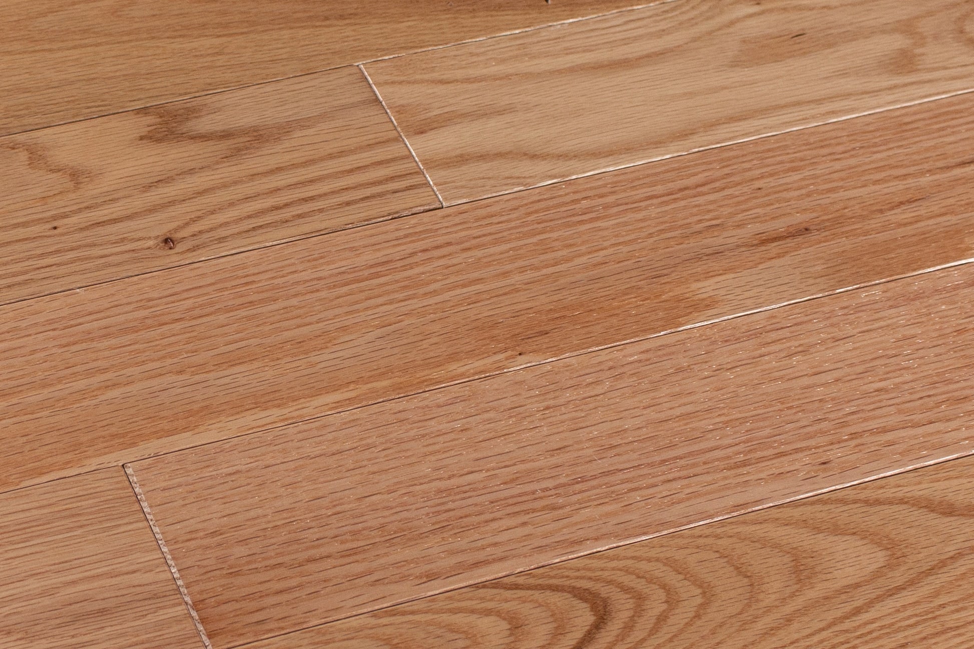 allen + roth Oak Natural hardwood flooring — alternate angle