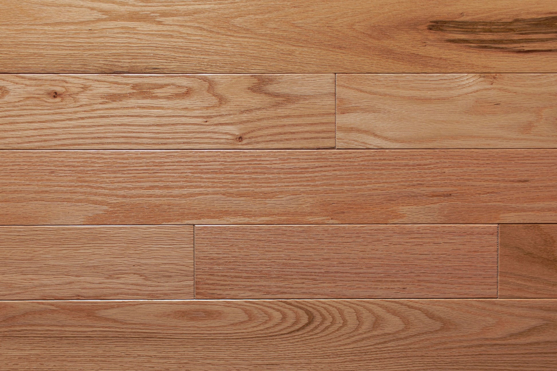 allen + roth Oak Natural hardwood flooring — surface grain detail