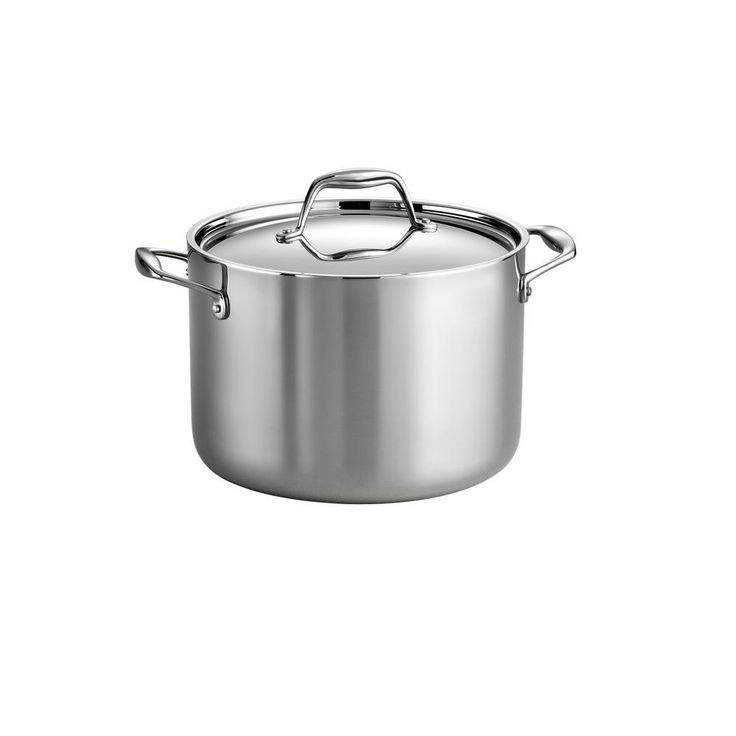 Gourmet Tri-Ply Clad 8 qt. Stainless Steel Stock Pot with Lid
