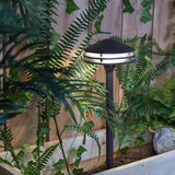 Portfolio 3-Watt Bronze Low-Voltage Integrated LED Path Light, 70 Lumens, 3000K