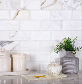 Apollo Tile (Sample) Wall Tile White 4-in x 4-in Polished Marble Subway Floor and Wall Tile