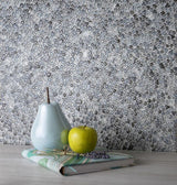 Apollo Tile (Sample) Bijou Gray 4-in x 4-in Honed Glass Pebble Mosaic Floor and Wall Tile