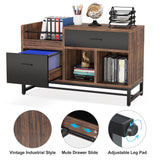 Tribesigns Brown/Black 2-Drawer 39.4-in File Cabinet