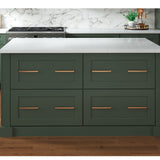 allen + roth Galway 36-in W x 34.5-in H x 24-in D Sage 2-Drawer Base Fully Assembled Cabinet (Flat Panel Style)