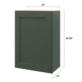 allen + roth Galway 21-in W x 30.125-in H x 12-in D Sage Wall Fully Assembled Cabinet (Flat Panel Shaker Door Style)