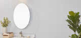 allen + roth 21-in x 31-in Surface Mount Frameless Mirrored Oval Medicine Cabinet