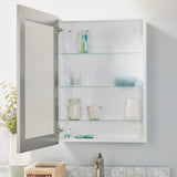 Style Selections 22.5-in x 30.5-in Surface/Recessed Mount Brushed Nickel Mirrored Soft Close Medicine Cabinet