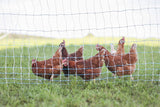 Starkline 164-ft-Gauge Electric Fence Poly Wire