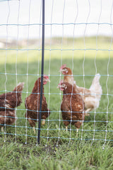 Starkline 164-ft-Gauge Electric Fence Poly Wire