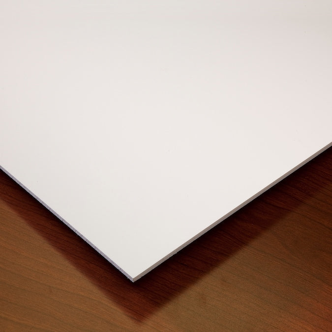 Genesis 2-ft x 2-ft Border Fill White PVC Drop Ceiling Tile (1-Pack, 4-sq ft / Case)
