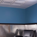 Genesis 2-ft x 2-ft Border Fill White PVC Drop Ceiling Tile (1-Pack, 4-sq ft / Case)