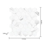Satori Statuario 12-in x 12-in Polished Porcelain Hexagon Marble-Look Floor and Wall Tile, 0.96-sq ft per Piece