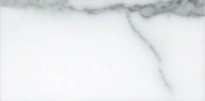 Apollo Tile (Sample) Floor and Wall Tile White 3-in x 6-in Honed Marble Subway Floor and Wall Tile