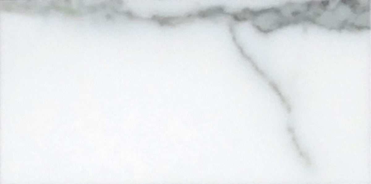 Apollo Tile (Sample) Floor and Wall Tile White 3-in x 6-in Honed Marble Subway Floor and Wall Tile