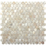 Apollo Tile (Sample) Wall White Natural Shell 4-in x 4-in Polished Marble Penny Round Patterned Wall Tile