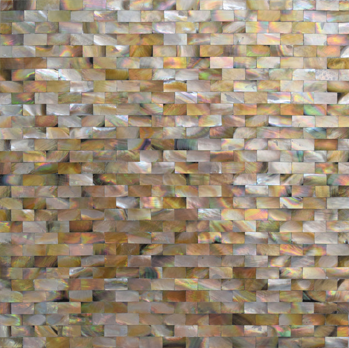 Apollo Tile Sea Kiss Beige Shell 12-in x 12-in Polished Natural Shell Brick Wall Tile (19-sq. ft/ Carton)