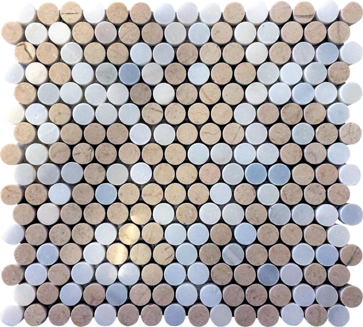 Apollo Tile (Sample) Floor and Wall Tile Gray and Beige 4-in x 4-in Polished Marble Floor and Wall Tile