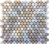 Apollo Tile (Sample) Floor and Wall Tile Gray and Beige 4-in x 4-in Polished Marble Floor and Wall Tile