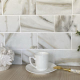 Apollo Tile (Sample) Floor and Wall Tile White and Beige 4-in x 4-in Matte Glass Floor and Wall Tile