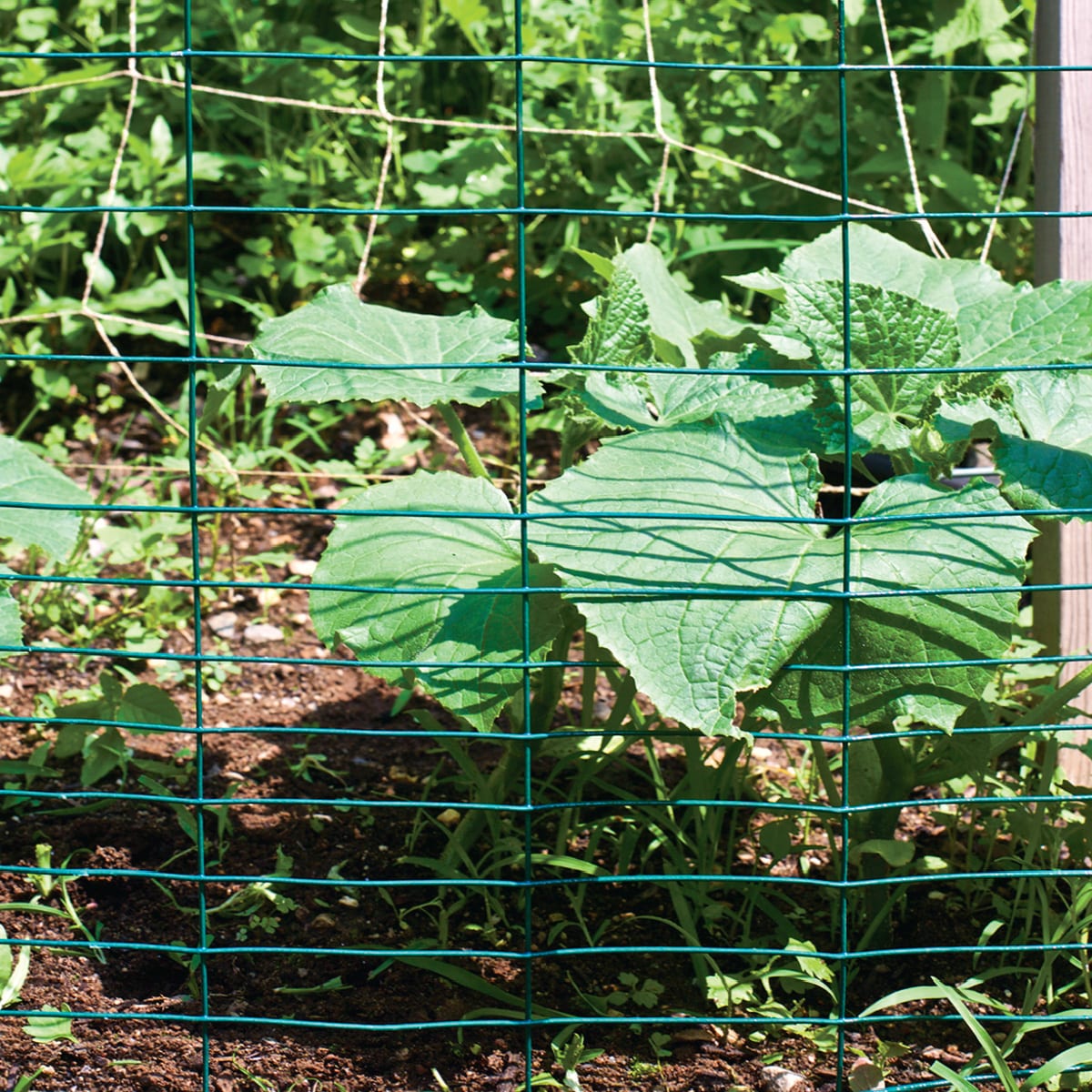 Garden Craft 50-ft x 2.3-ft Green PVC Coated Welded Wire Fencing