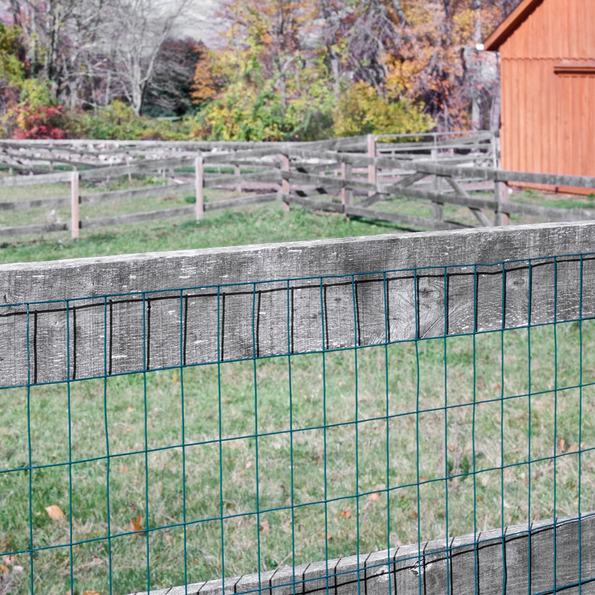 GARDEN CRAFT Green Steel Welded Wire Rolled Fence, 50' x 5'