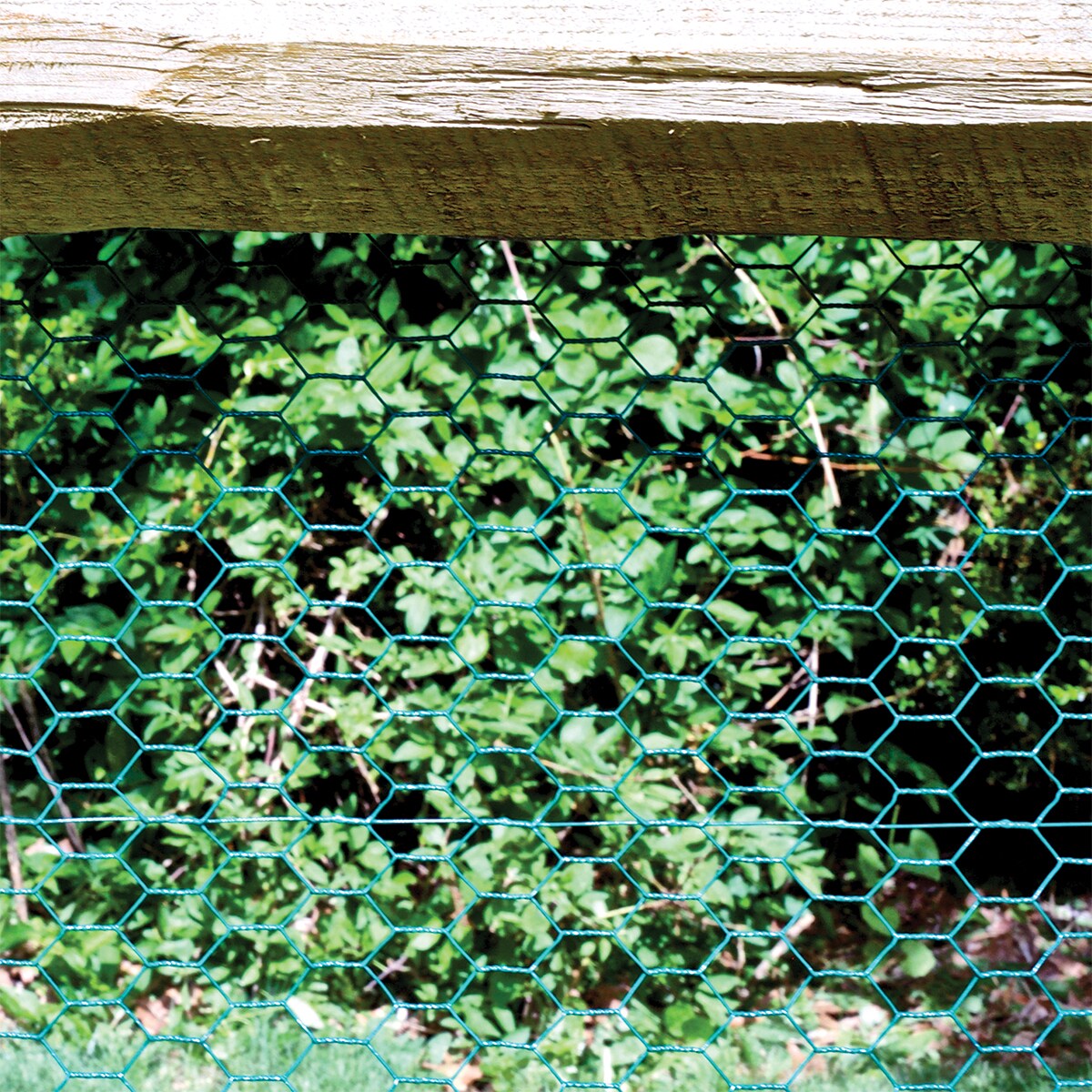 Garden Craft 25-Ft Green PVC Coated Steel Chicken Wire Fencing, 1-In Mesh