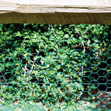 Garden Craft 25-Ft Green PVC Coated Steel Chicken Wire Fencing, 1-In Mesh