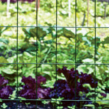 GARDEN CRAFT Green Steel Welded Wire Rolled Fence, 50' x 5'