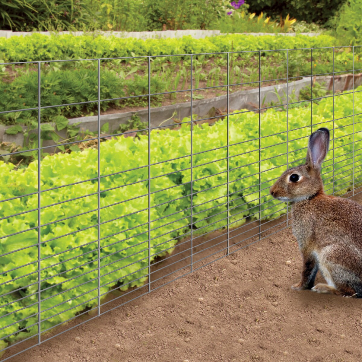 GARDEN CRAFT 50-ft x 3-ft Gray Galvanized Steel Welded Wire Rolled Fencing