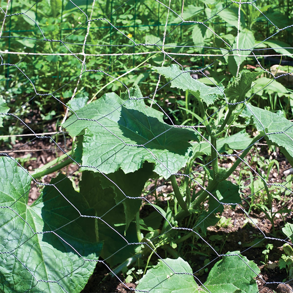 Garden Craft 150ft x 5ft Gray Steel Chicken Wire Rolled Fencing