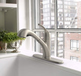 Project Source Stainless Steel PVD 1-Handle Deck-Mount Pull-Out Kitchen Faucet with Deck Plate