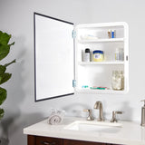 Project Source 16-in x 20-in Rectangle Surface/Recessed Frameless Mirrored Medicine Cabinet, White Plastic Body