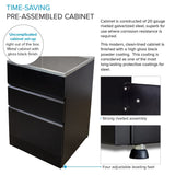 Transolid Matte Black Freestanding Laundry Sink with Cabinet and Flex+Freeze Faucet