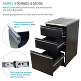 Transolid Matte Black Freestanding Laundry Sink with Cabinet and Flex+Freeze Faucet