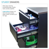 Transolid Matte Black Freestanding Laundry Sink with Cabinet and Flex+Freeze Faucet