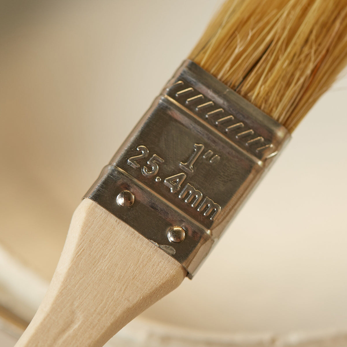 Project Source Natural Bristle Flat 1-in Paint Brush