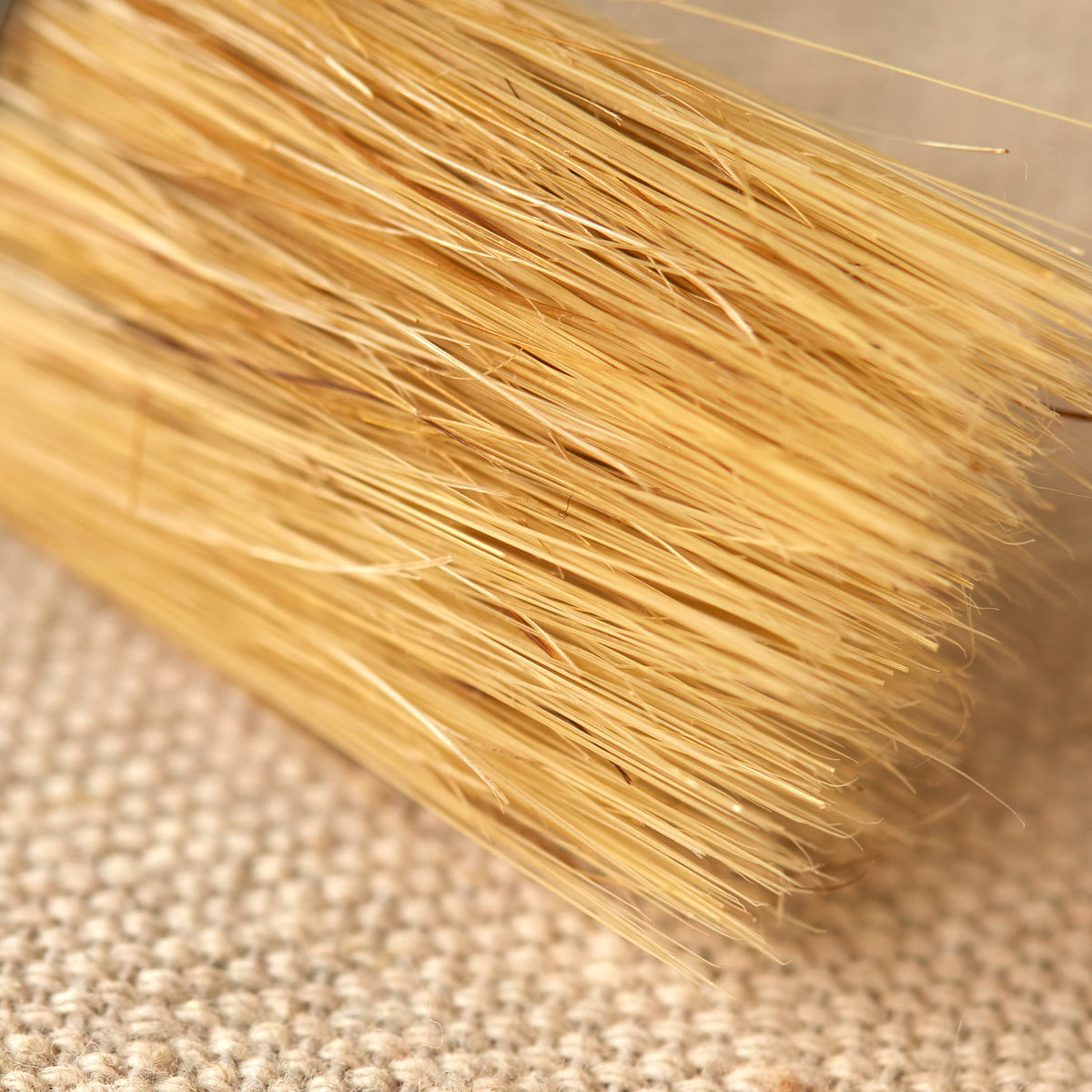 Project Source Natural Bristle Flat 1-in Paint Brush