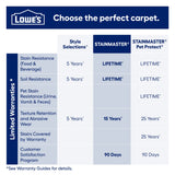 STAINMASTER Essentials So In Love "Amazing View" Pattern Indoor Carpet — 12-ft Roll Width, 35-oz Face Weight