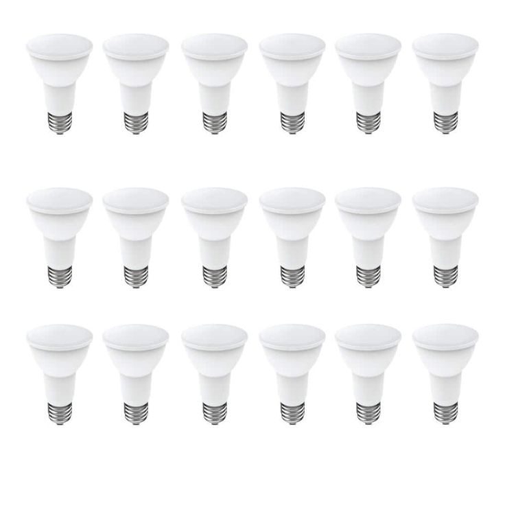 Feit Electric 50-Watt Equivalent (5000K) PAR20 LED Light Bulb, Daylight (18-Pack Size)