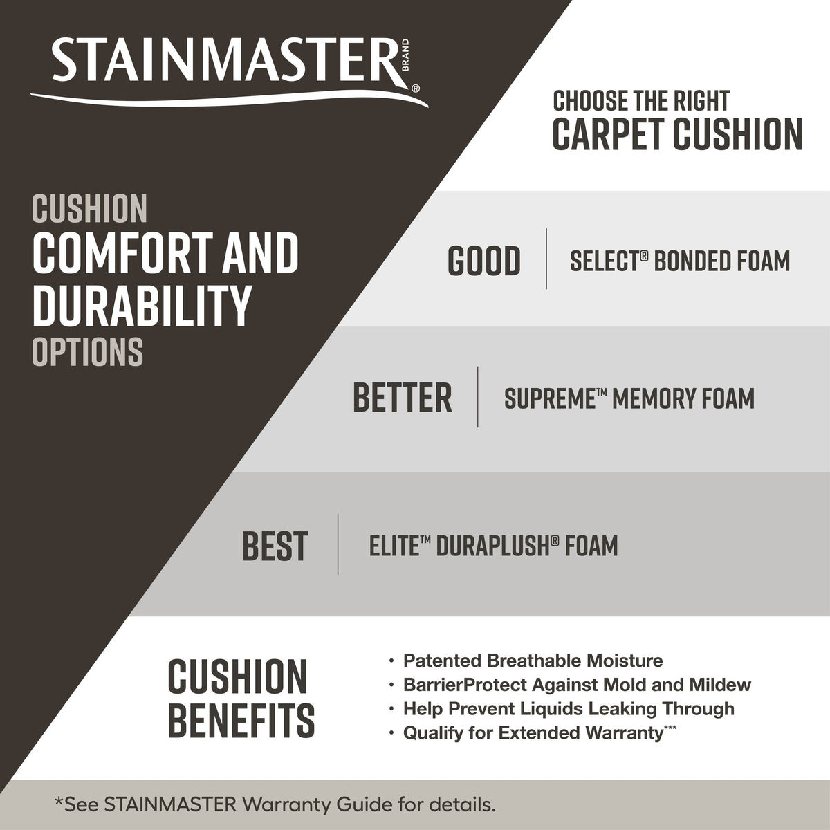 STAINMASTER Essentials So Happy Spanish Sky Pattern Carpet Sample (Interior), 8-in x 8-in