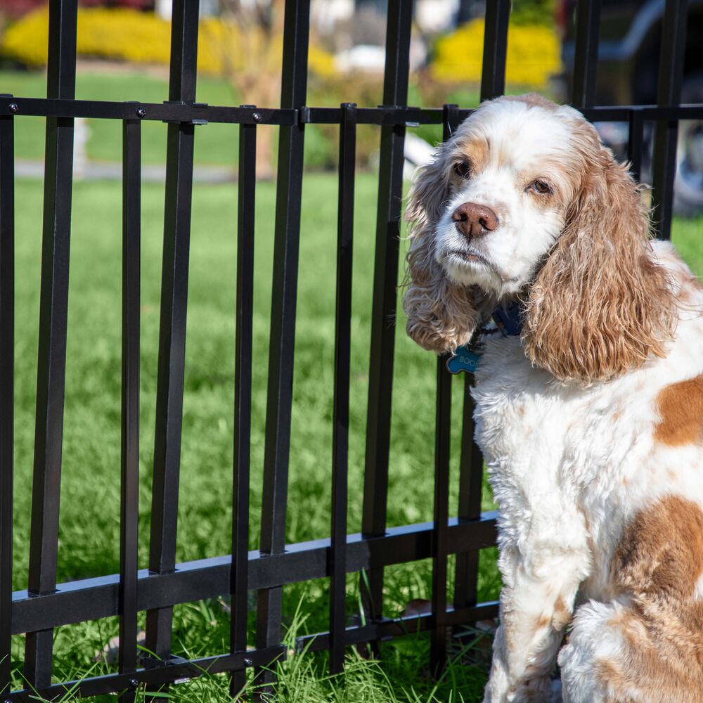 Freedom Standard 35-in Black Metal Puppy Picket Add-on Kit For Metal Fence