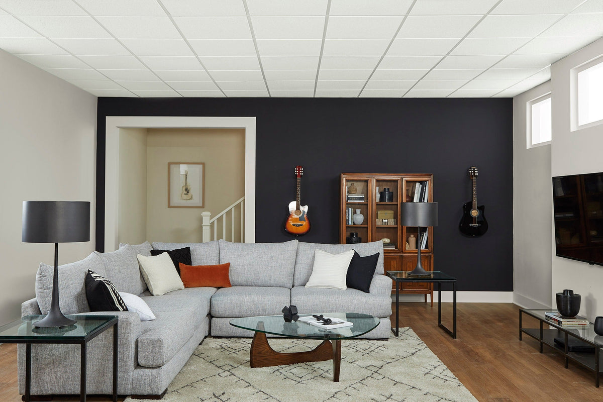 Armstrong Ceilings 48-in x 24-in Scored Contractor White Fissured 15/16-in Drop Acoustic Panel Ceiling Tiles, 10-Pack