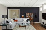 Armstrong Ceilings 48-in x 24-in Scored Contractor White Fissured 15/16-in Drop Acoustic Panel Ceiling Tiles, 10-Pack