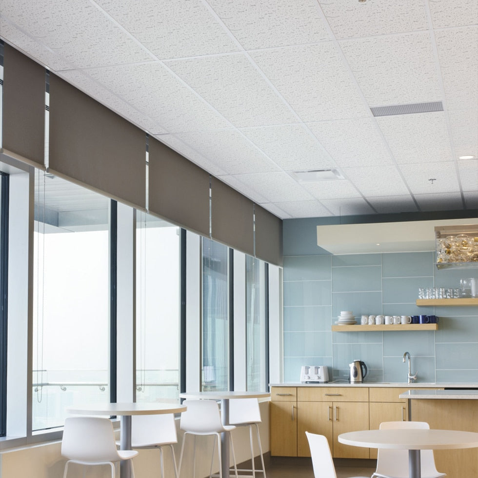 Armstrong Ceilings 48-in x 24-in Textured Contractor White Fissured 15/16-in Drop Acoustic Panel Ceiling Tiles, 10-Pack