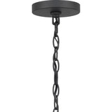 Progress Lighting Evanna 4-Light Matte Black Transitional Chandelier